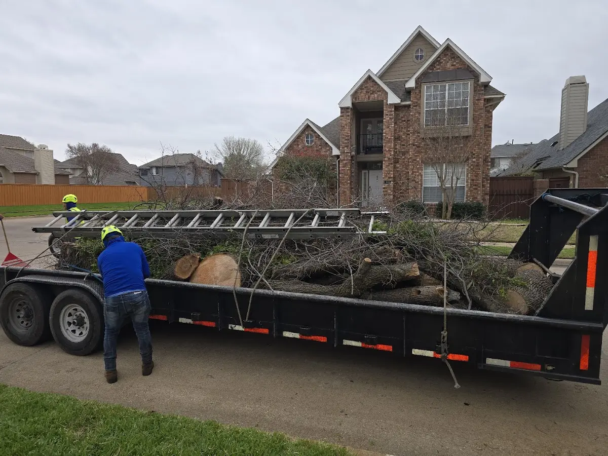 Expert Tree Fertilization with proper safety equipment in Wimberley